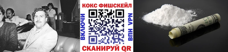 MEGA как войти  хочу наркоту  Отрадный  Кокаин FishScale 