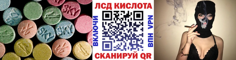 дарнет шоп  Отрадный  Лсд 25 экстази кислота 
