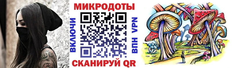что такое   Отрадный  Галлюциногенные грибы Psilocybine cubensis 